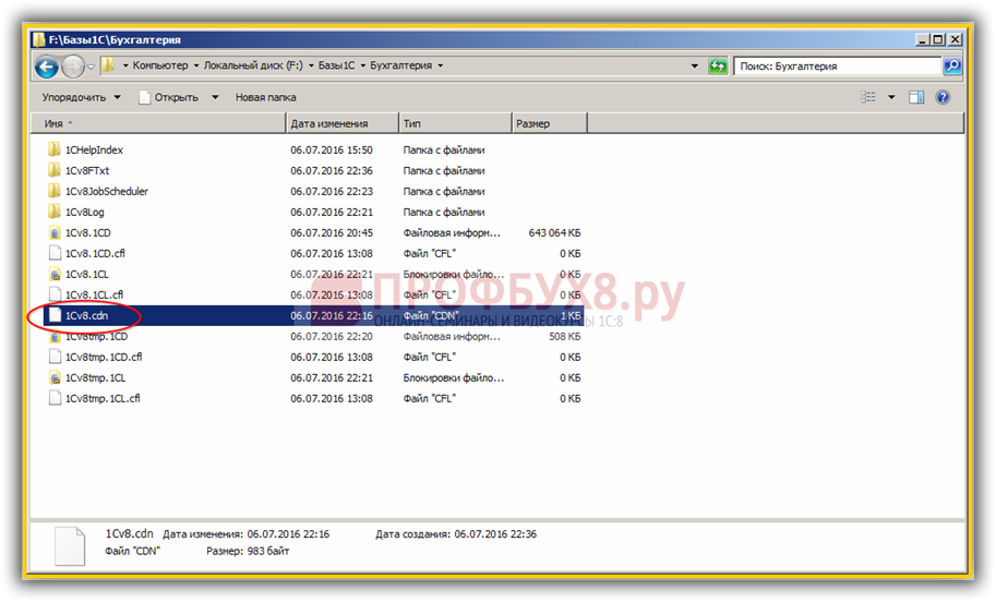 файл 1Cv8.cdn в каталоге хранения текущей информационной базы